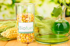 Prospect biofuel availability